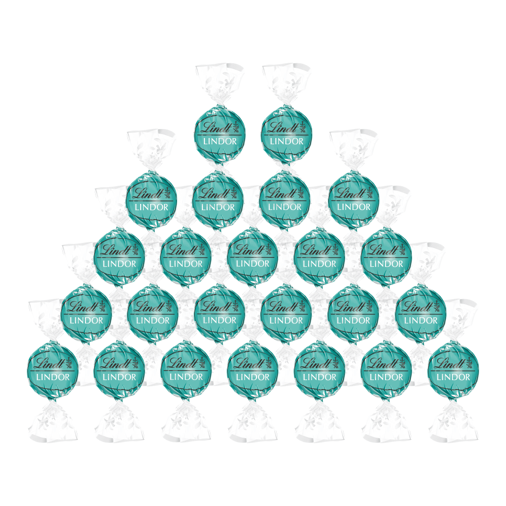 Bag LINDOR bombones Coco 300g